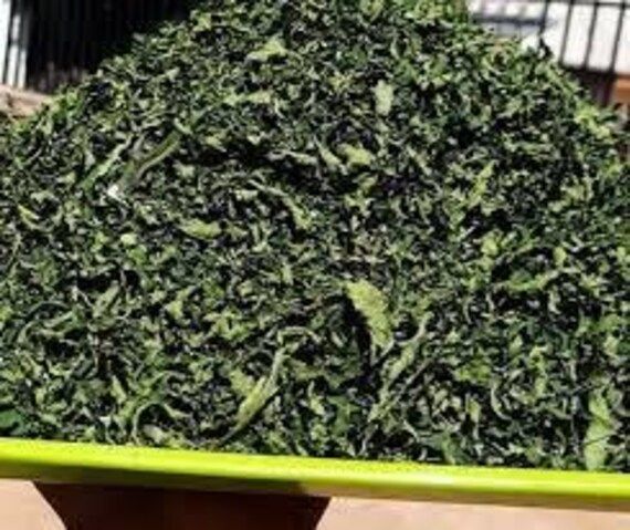 Dried Bitter leaf